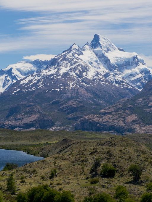 🌟 Wild Argentina 🌟