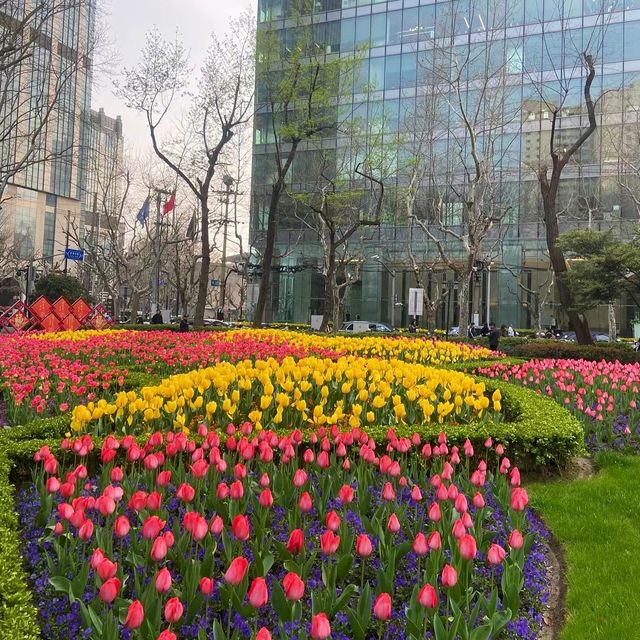 去逛公園去哪裡？去上海市徐匯區淮海中路襄陽公園