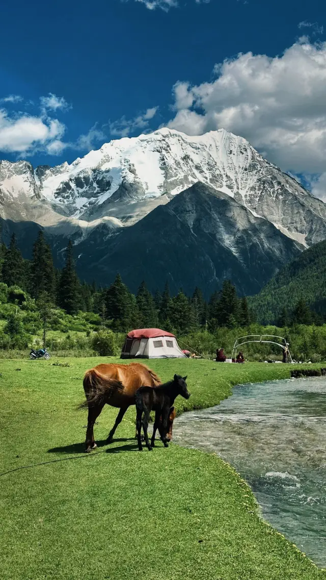 Explore the unspoiled snow-capped mountains and skies of Western Sichuan!