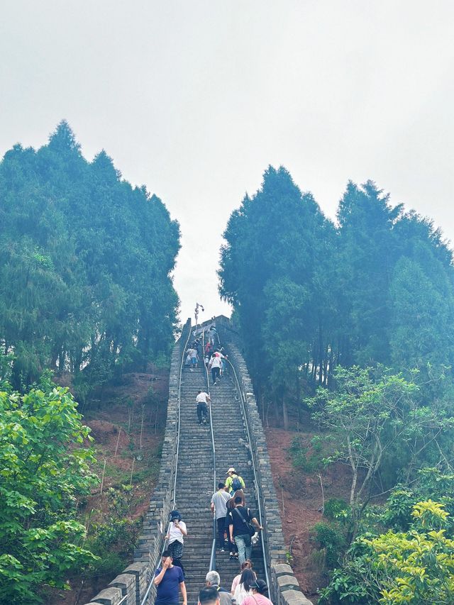 戶外遛娃天花板|爬長城坐叢林過山車咯