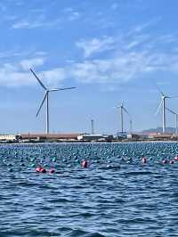 夏天去榮成海洋牧場坐船出海｜東楮島海洋牧場