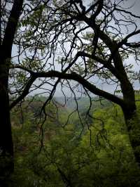 甘肅慶陽小崆峒山3：窯洞與董志塬地貌文化