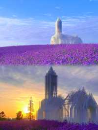 「成都版普羅旺斯」夢幻紫花海圓你公主夢