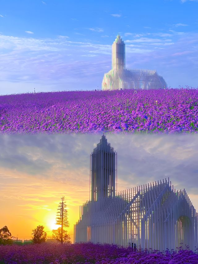 「成都版普羅旺斯」夢幻紫花海圓你公主夢