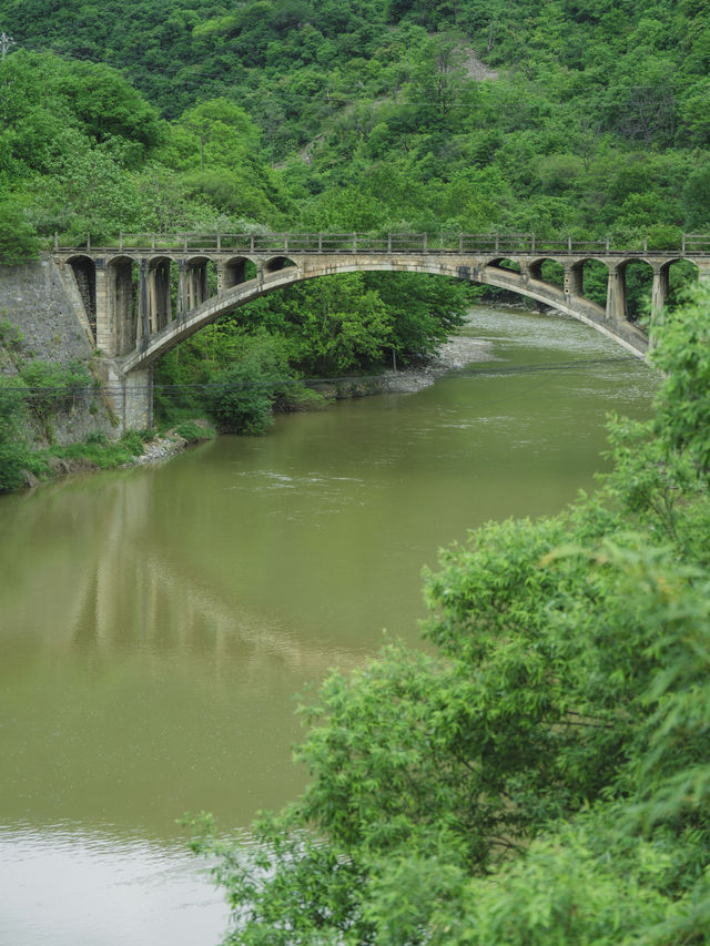 五房觀山｜夏日宜居山野，秦嶺遇見觀山