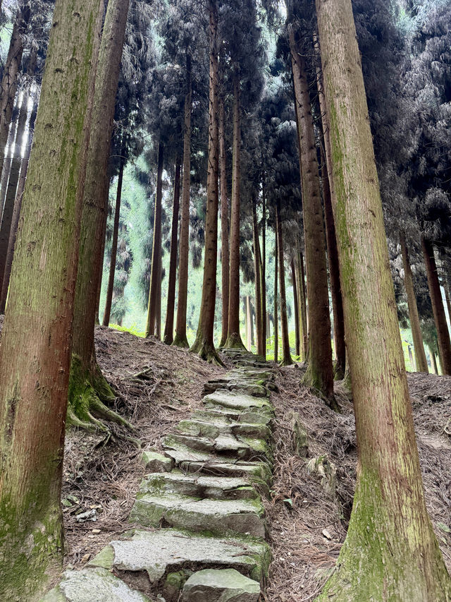 座落於什邡蓥華山｜避暑勝地歡迎你