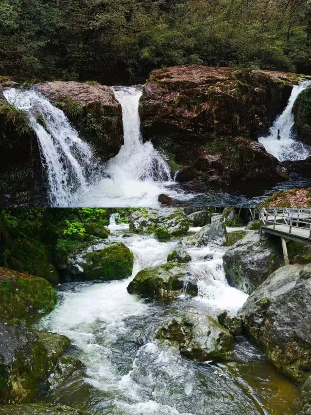 雅安龍苍溝疊翠溪風景區