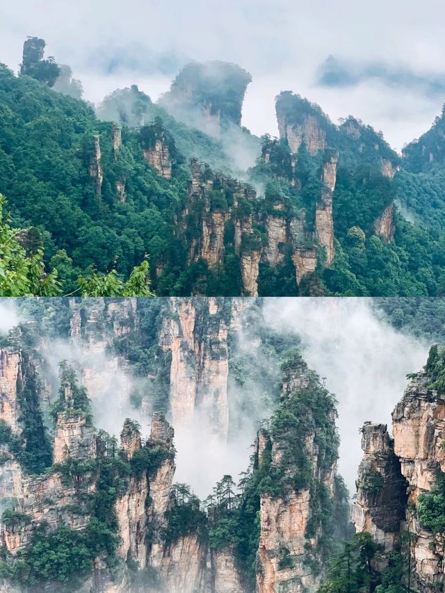 張家界玩了五天剛回!!只想說一些大實話