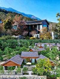 溫泉酒店在蒼山腳下被治癒
