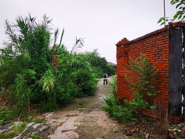 雨漫內自邊界的中溪河畔