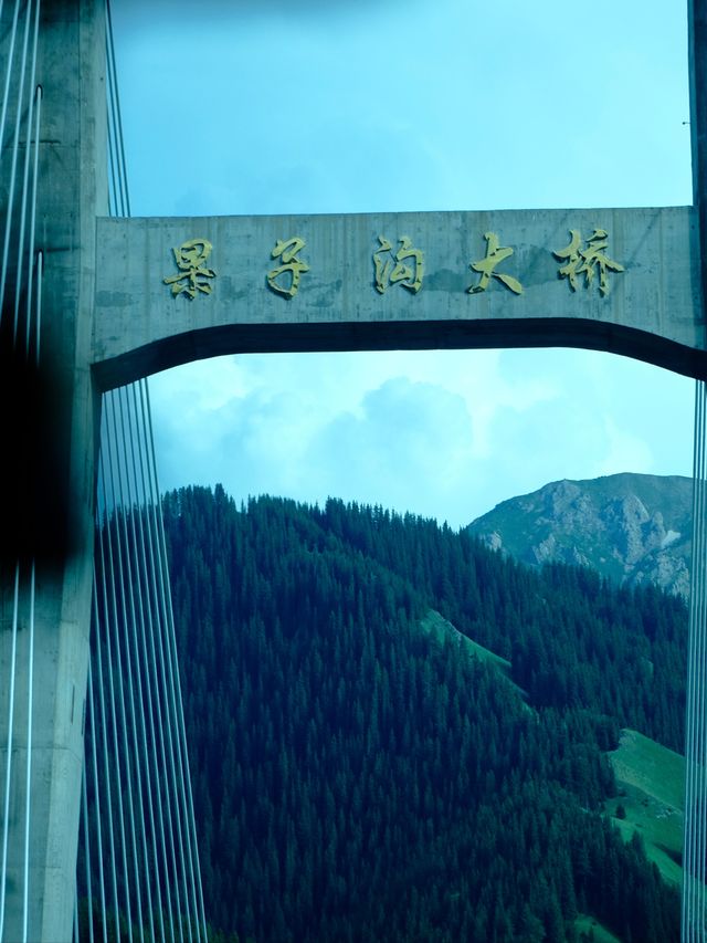 來看漫山遍野的紫色浪漫 【解憂公主薰衣草農場】