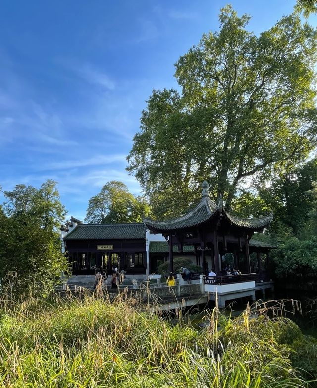 It seems as if I haven't left the country, as I find myself in a Chinese garden in Frankfurt. I am bewildered. 😵