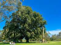 On-site recommendation of fun attractions: Perth, Western Australia 🌏