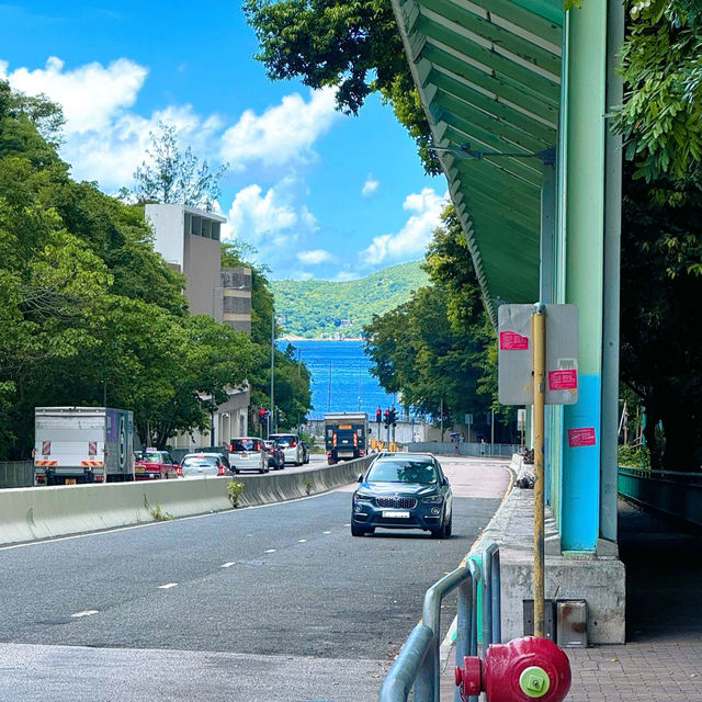 【香港一日遊】鴨脷洲：市井煙火，海鮮市場，享受舒適海風
