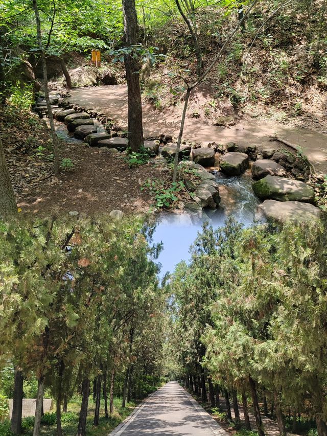 馬陵山丨避暑吸氧好地方，一起來享受大自然的美