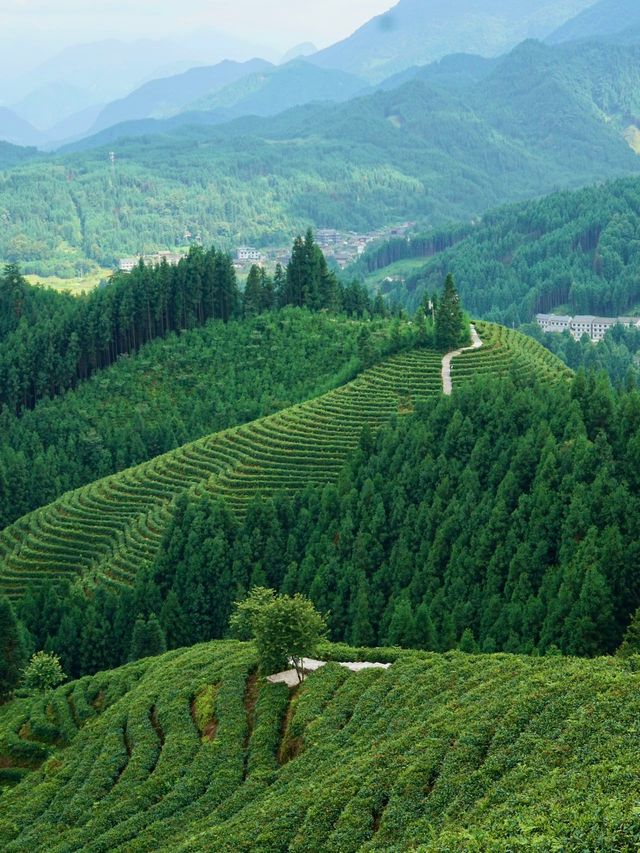 成都周邊遊|實現了媽媽退休後的第一個願望