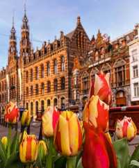 18 Fun Attractions in Amsterdam, Netherlands: A Travel Guide 🇳🇱