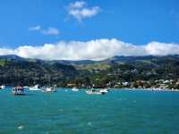 阿卡羅阿 (Akaroa)法式小鎮