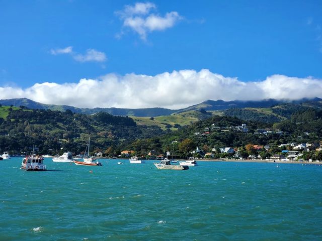 阿卡羅阿 (Akaroa)法式小鎮