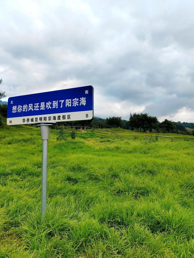 雲南昆明陽宗海｜被昆明遺忘的後花園