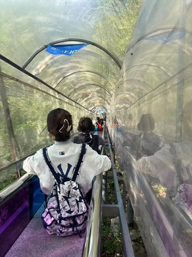 本溪大峽谷1日，開啟你的冒險之旅！