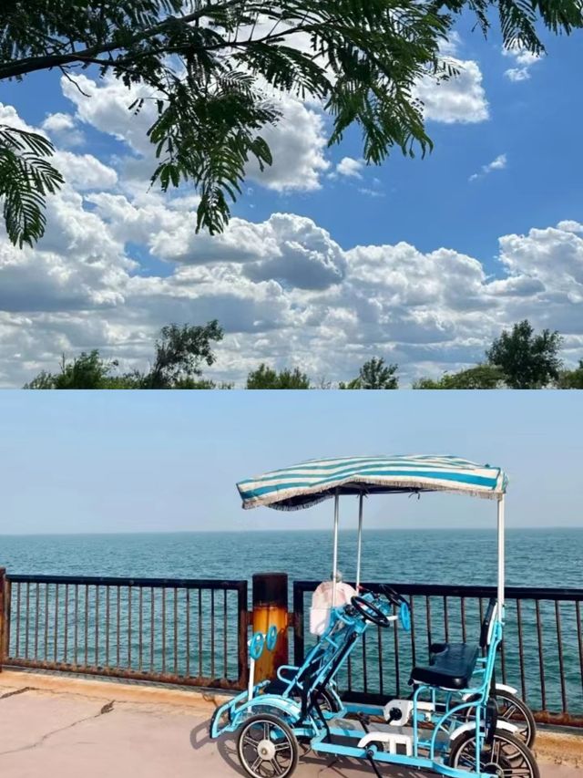 發朋友圈問爆了這不是濟州島是天津的東提公園！