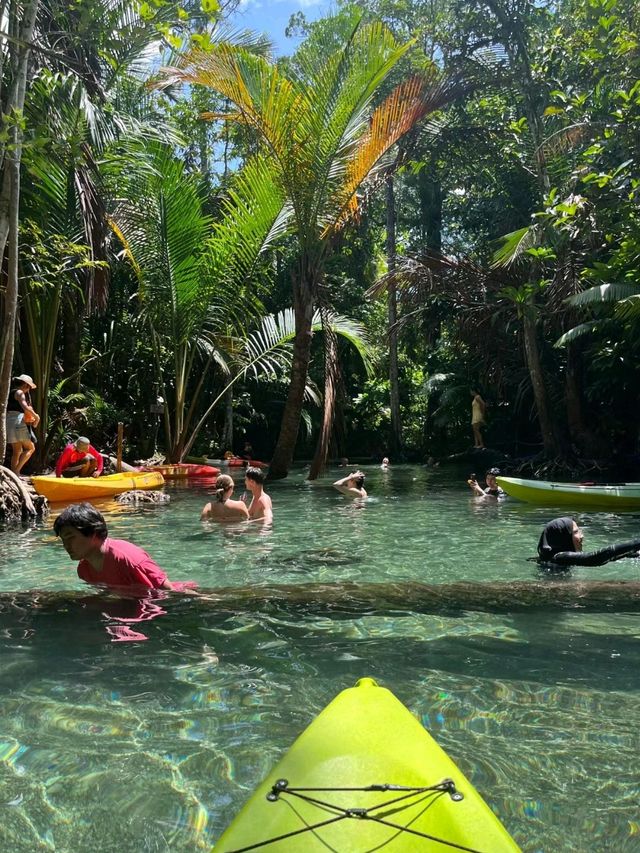 The Mirror Lake kayaking is Amazingly Beautiful Experience🥰