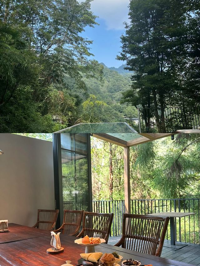 青城後山新晉南洋風度假民宿,真係好chill。