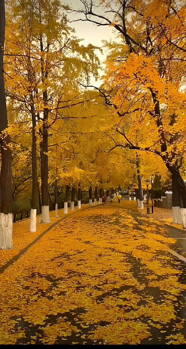 ที่นี่มีทิวทัศน์ฤดูใบไม้ร่วงที่สวยงาม