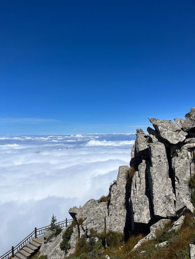太白山|國慶出遊來太白山看慕容雲海。