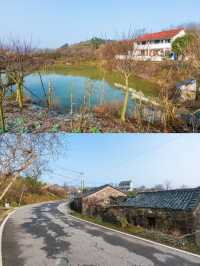 余姚大樂之野·谷舍，山谷裡的童話度假勝地。