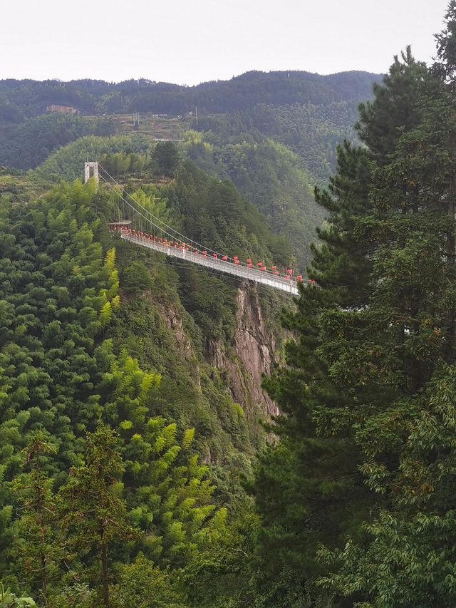 麗水金礦山公園丨黃金之旅。