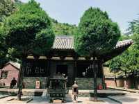 《黑神話悟空》之旅｜青蓮寺，一場佛性與神話的碰撞。