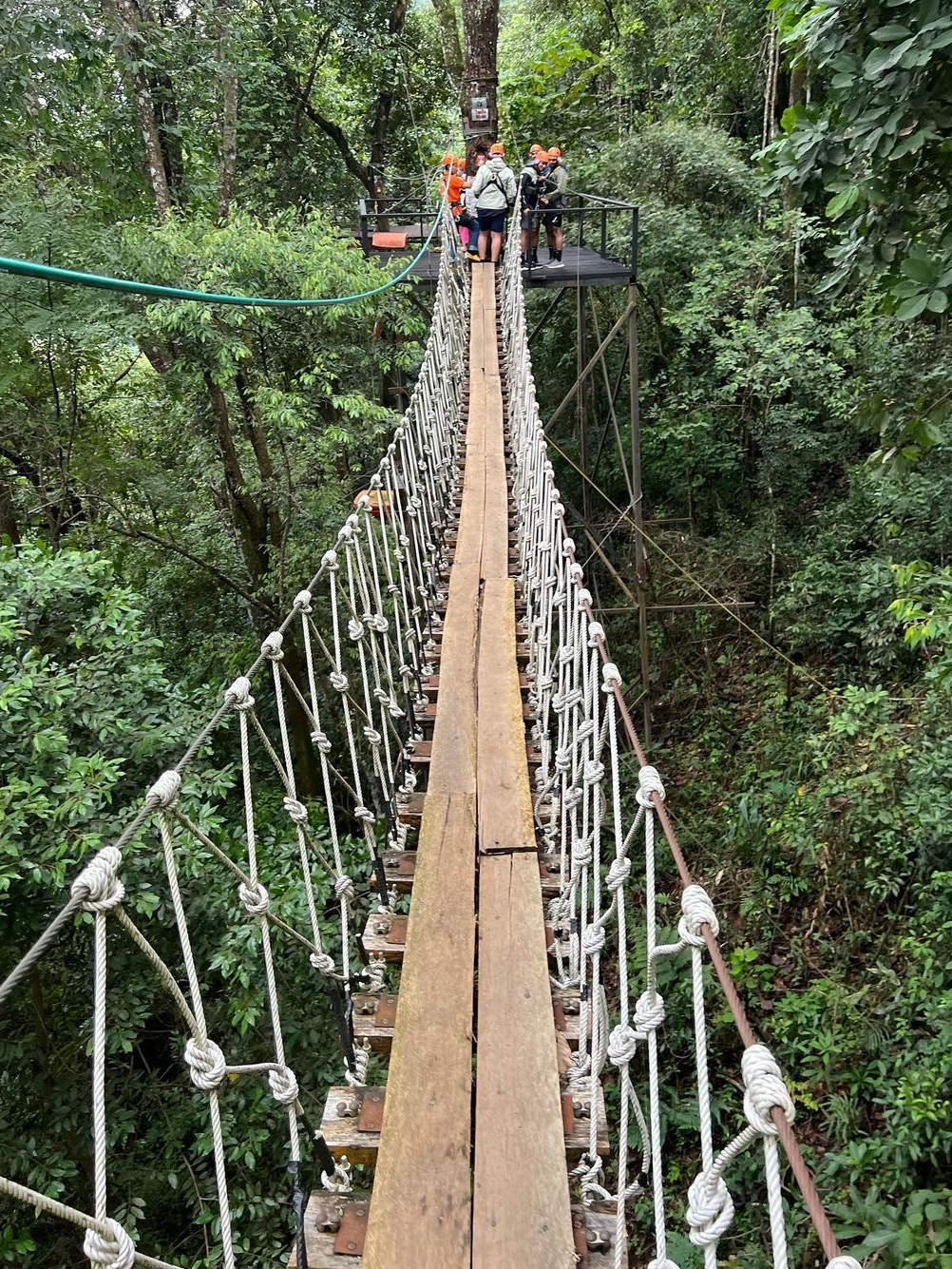 มาเชียงใหม่ต้องมาเยือน! จะเลือก Jungle Jump อย่างไร? คู่มือโดยละเอียดสำหรับ Six Jungle Leaps ~ แนะนำให้สะสม! -