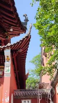 武漢長春觀｜美哭！遠離喧囂的賞銀杏地。