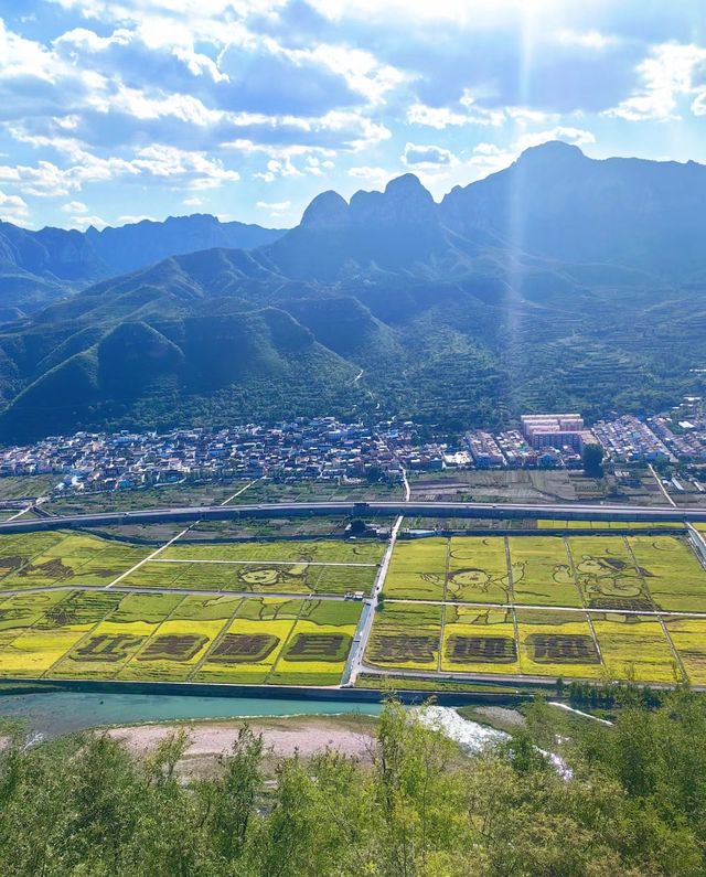 希望你們這個秋天也看到美麗的稻田畫邯鄲市涉縣韓王九寨稻田畫。