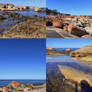 Explore Bicheno: A hidden gem on the Australian coast.