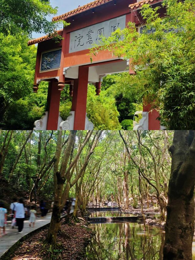 鳳凰山：神秘吸引力解密，你不知道的美麗景色。