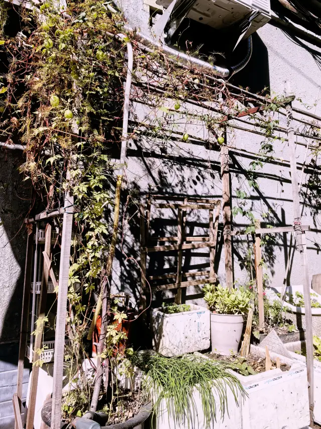 Explore Beijing's hutongs with a local: Xiaoju Hutong. 
