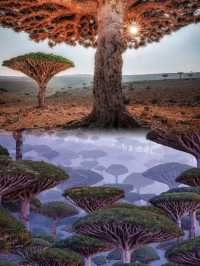 揭秘地球上最像外星球的地方｜太奇幻了。