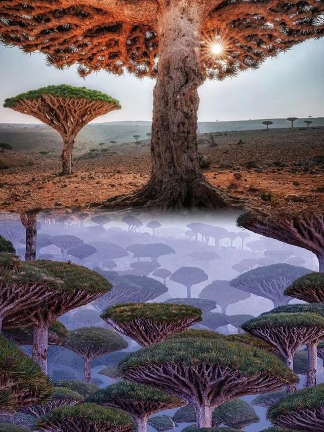 揭秘地球上最像外星球的地方｜太奇幻了。