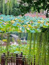 在鄭州夢溪園被我找到了。
