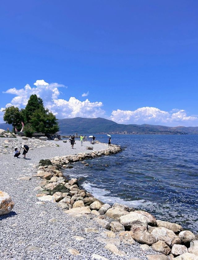 龍坎碼頭：一場心靈之旅的溫柔邀約。