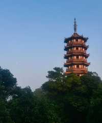 江門｜大雁山景色絕美～快樂吸氧。