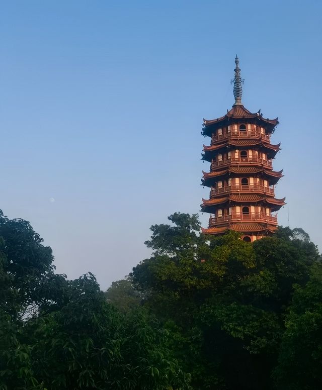 江門｜大雁山景色絕美～快樂吸氧。