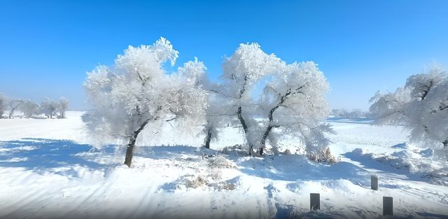 吉林市四天三夜冰雪奇緣之旅。