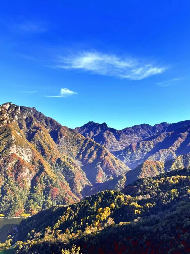 翠華山之遊：邂逅奇景的旅程。