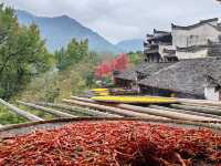 婺源篁嶺，一個美麗且富有特色的旅遊地，以下是一份遊玩攻略供您參考。