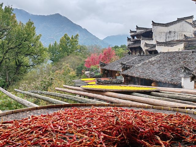 婺源篁嶺，一個美麗且富有特色的旅遊地，以下是一份遊玩攻略供您參考。