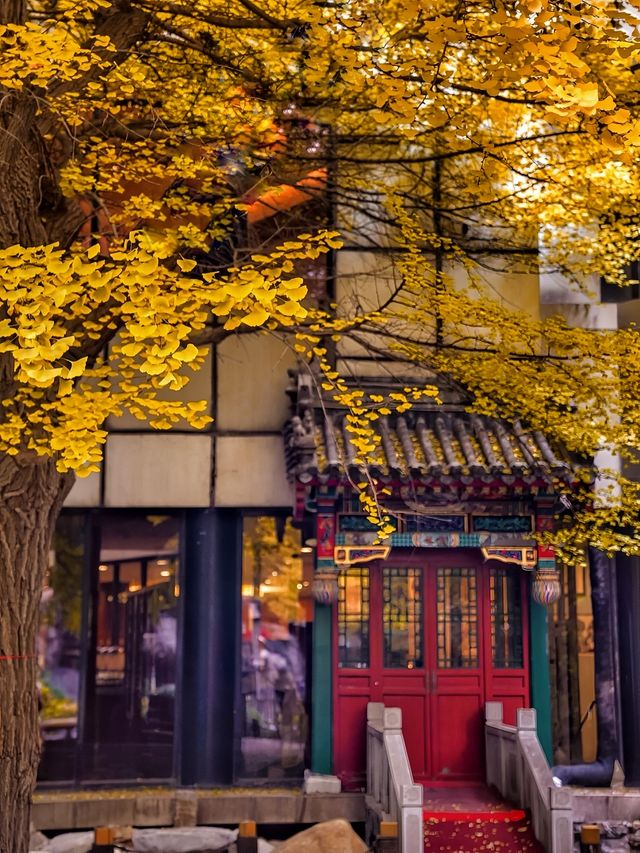 「琉璃光院」並非位於京都，而是在首都。